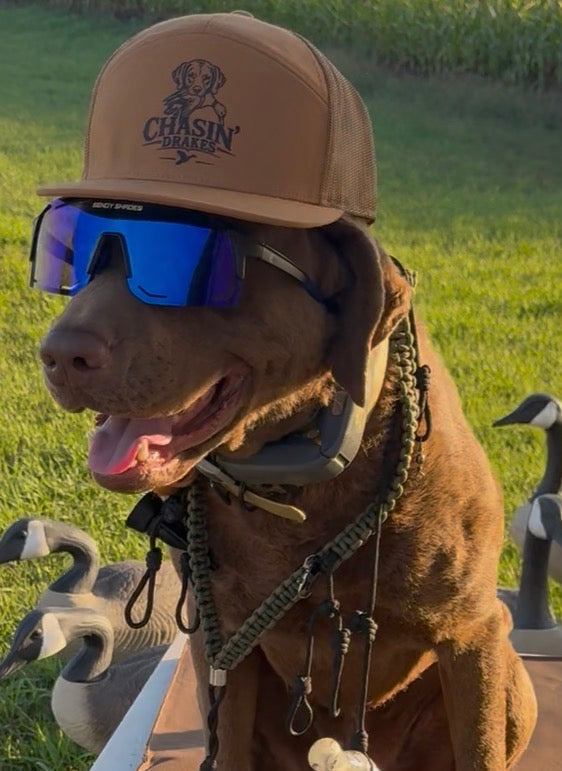 Logo Camel Trucker Hat